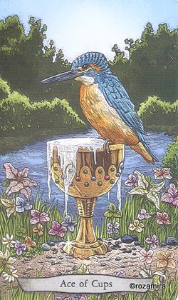 Animal Totem Tarot